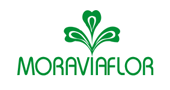 Exklusivní dodavatel bukové větvičky FAGUS